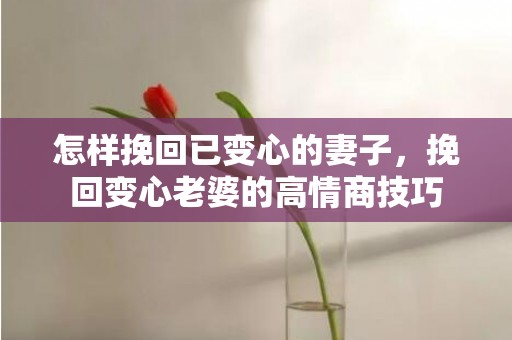 怎样挽回已变心的妻子，挽回变心老婆的高情商技巧