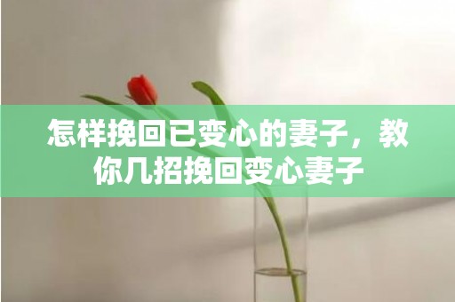 怎样挽回已变心的妻子，教你几招挽回变心妻子