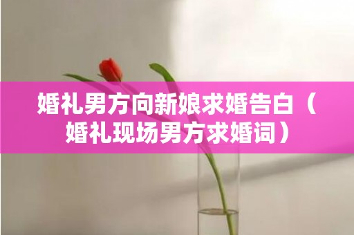 婚礼男方向新娘求婚告白（婚礼现场男方求婚词）