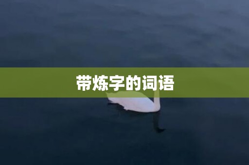 带炼字的词语