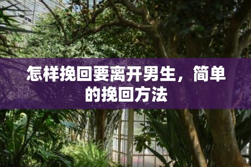 怎样挽回要离开男生，简单的挽回方法