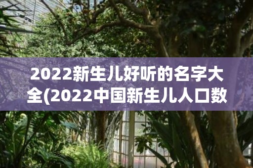 2022新生儿好听的名字大全(2022中国新生儿人口数量)