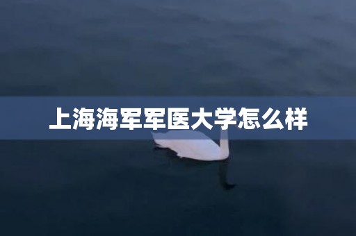 上海海军军医大学怎么样