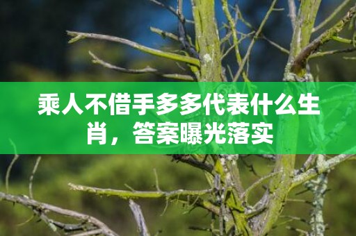 乘人不借手多多代表什么生肖，答案曝光落实