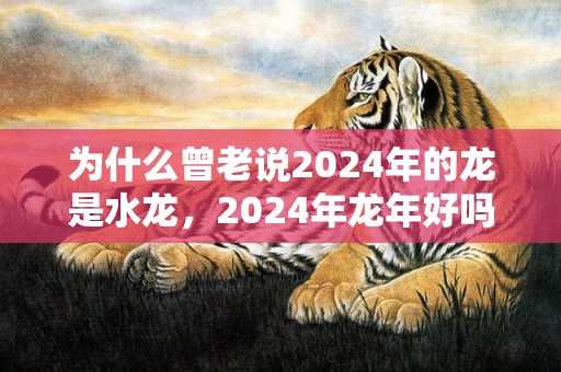 为什么曾老说2024年的龙是水龙，2024年龙年好吗