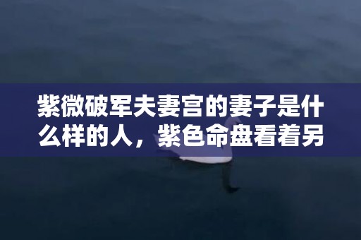 紫微破军夫妻宫的妻子是什么样的人，紫色命盘看着另一半相遇