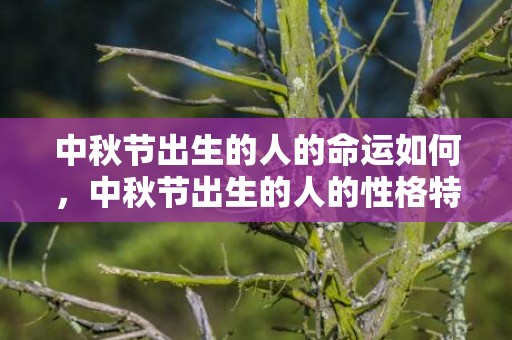 中秋节出生的人的命运如何，中秋节出生的人的性格特征