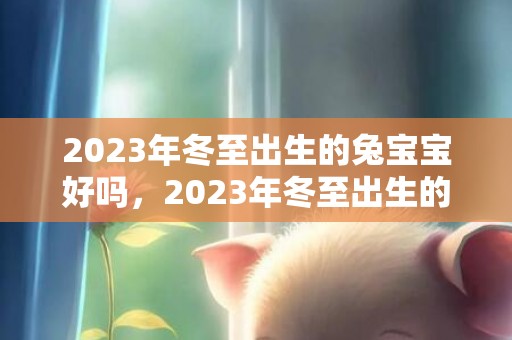 2023年冬至出生的兔宝宝好吗，2023年冬至出生的兔宝宝好不好