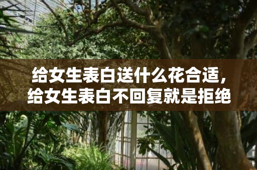 给女生表白送什么花合适，给女生表白不回复就是拒绝吗，表白女生没回复说明啥