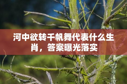 河中欲转千帆舞代表什么生肖，答案曝光落实