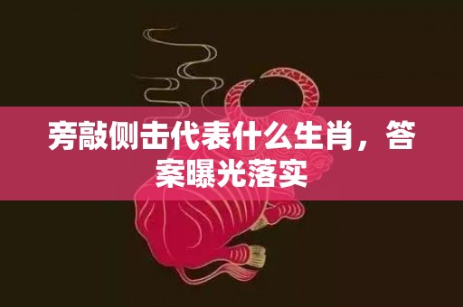 旁敲侧击代表什么生肖，答案曝光落实