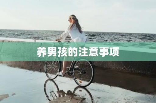 养男孩的注意事项