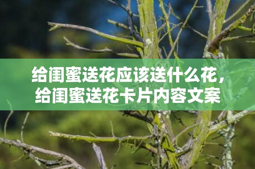 给闺蜜送花应该送什么花，给闺蜜送花卡片内容文案