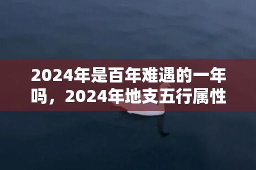 2024年是百年难遇的一年吗，2024年地支五行属性是什么，