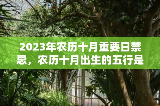 2023年农历十月重要日禁忌，农历十月出生的五行是什么，