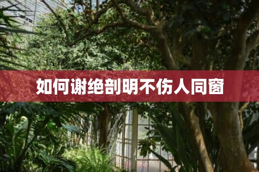 如何谢绝剖明不伤人同窗