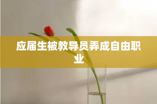 应届生被教导员弄成自由职业