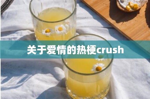 关于爱情的热梗crush