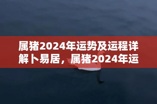 属猪2024年运势及运程详解卜易居，属猪2024年运势及运程详解