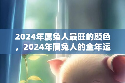 2024年属兔人最旺的颜色，2024年属兔人的全年运势