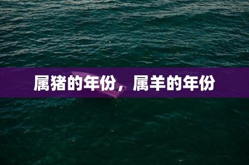 属猪的年份，属羊的年份