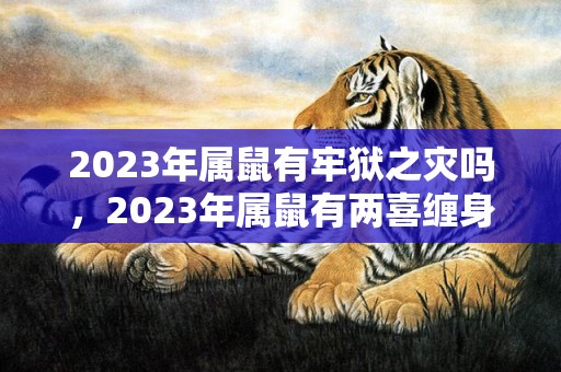 2023年属鼠有牢狱之灾吗，2023年属鼠有两喜缠身