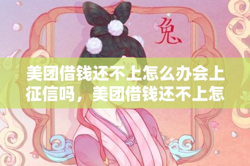 美团借钱还不上怎么办会上征信吗，美团借钱还不上怎么办