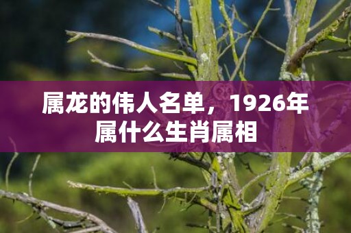 属龙的伟人名单，1926年属什么生肖属相