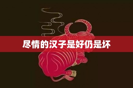 尽情的汉子是好仍是坏