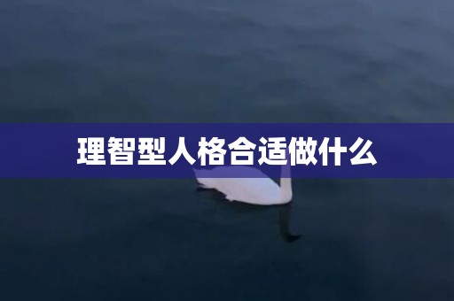 理智型人格合适做什么