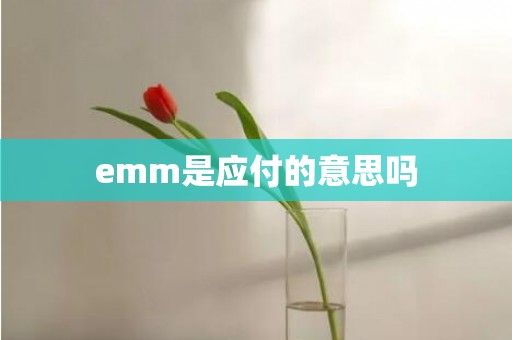 emm是应付的意思吗