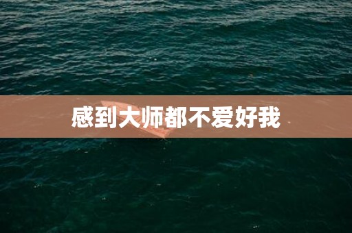 感到大师都不爱好我