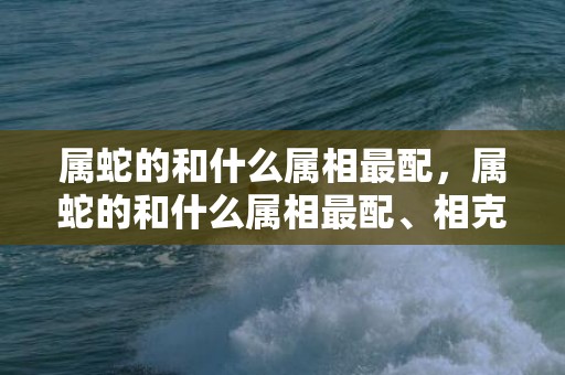 属蛇的和什么属相最配，属蛇的和什么属相最配、相克