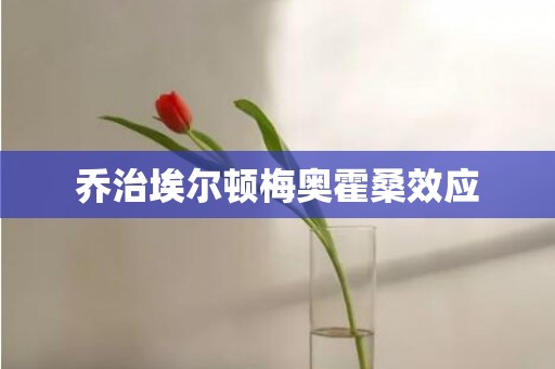 乔治埃尔顿梅奥霍桑效应