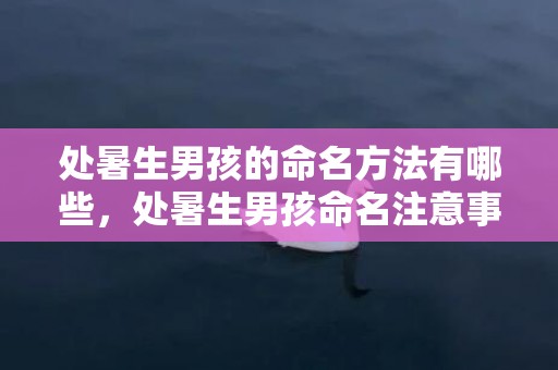 处暑生男孩的命名方法有哪些，处暑生男孩命名注意事项