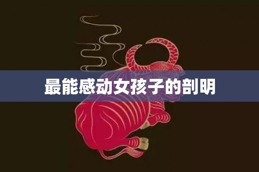 最能感动女孩子的剖明