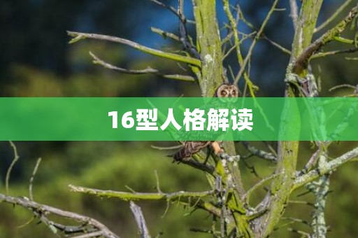 16型人格解读