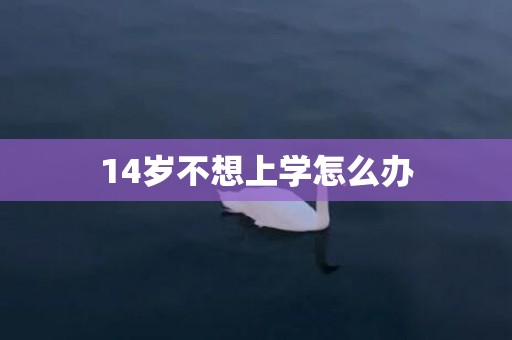 14岁不想上学怎么办