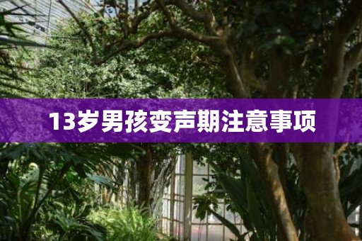 13岁男孩变声期注意事项