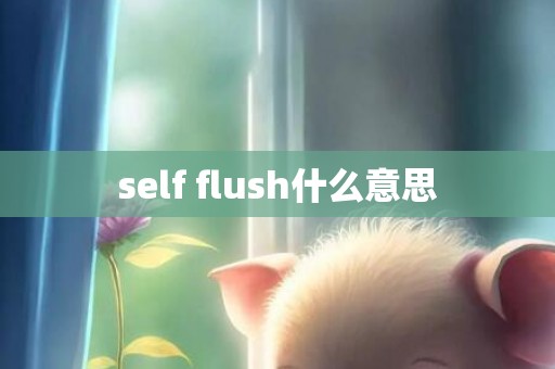 self flush什么意思