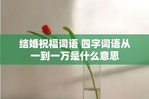 结婚祝福词语 四字词语从一到一万是什么意思