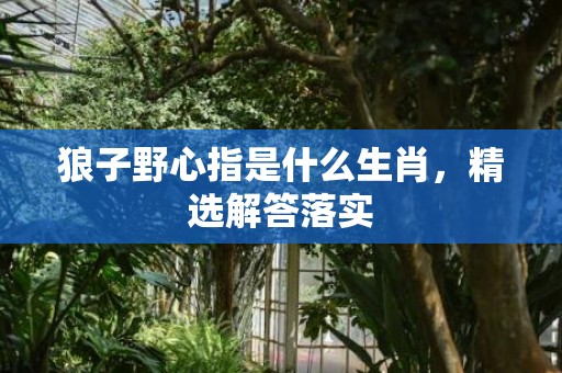 狼子野心指是什么生肖，精选解答落实