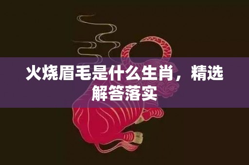 火烧眉毛是什么生肖，精选解答落实