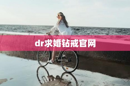 dr求婚钻戒官网