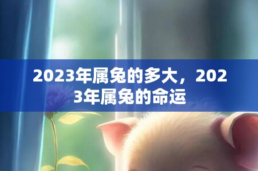 2023年属兔的多大，2023年属兔的命运