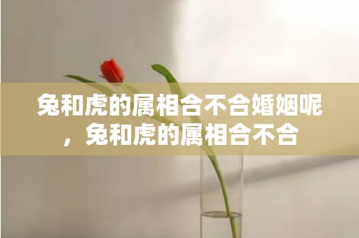 兔和虎的属相合不合婚姻呢，兔和虎的属相合不合