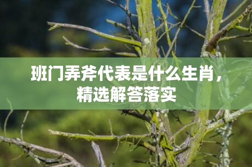 班门弄斧代表是什么生肖，精选解答落实