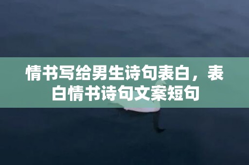 情书写给男生诗句表白，表白情书诗句文案短句