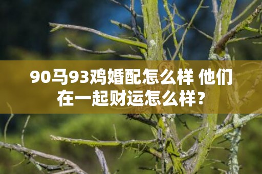 90马93鸡婚配怎么样 他们在一起财运怎么样？