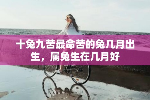 十兔九苦最命苦的兔几月出生，属兔生在几月好